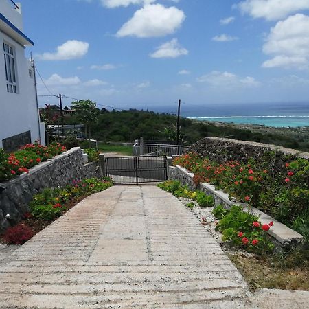 O Bercail Du Sud-Hibiscus Chez Jeannette Villa Saint Gabriel Buitenkant foto